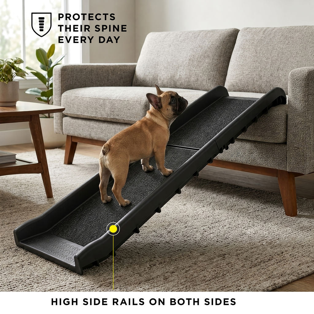 Dog Ramp for Car, 62" Long & 16" Wide Portable Dog Ramps for Large Dogs, Folding Dog Car Ramp for Truck and Non-Slip Pet Loading Ramp for Dogs to Get in Car Supports 250 lbs
